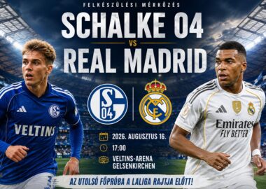 Schalke04 - Real Madrid